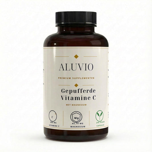 Gebufferde Vitamine C 500 mg + Magnesium – 240 capsules